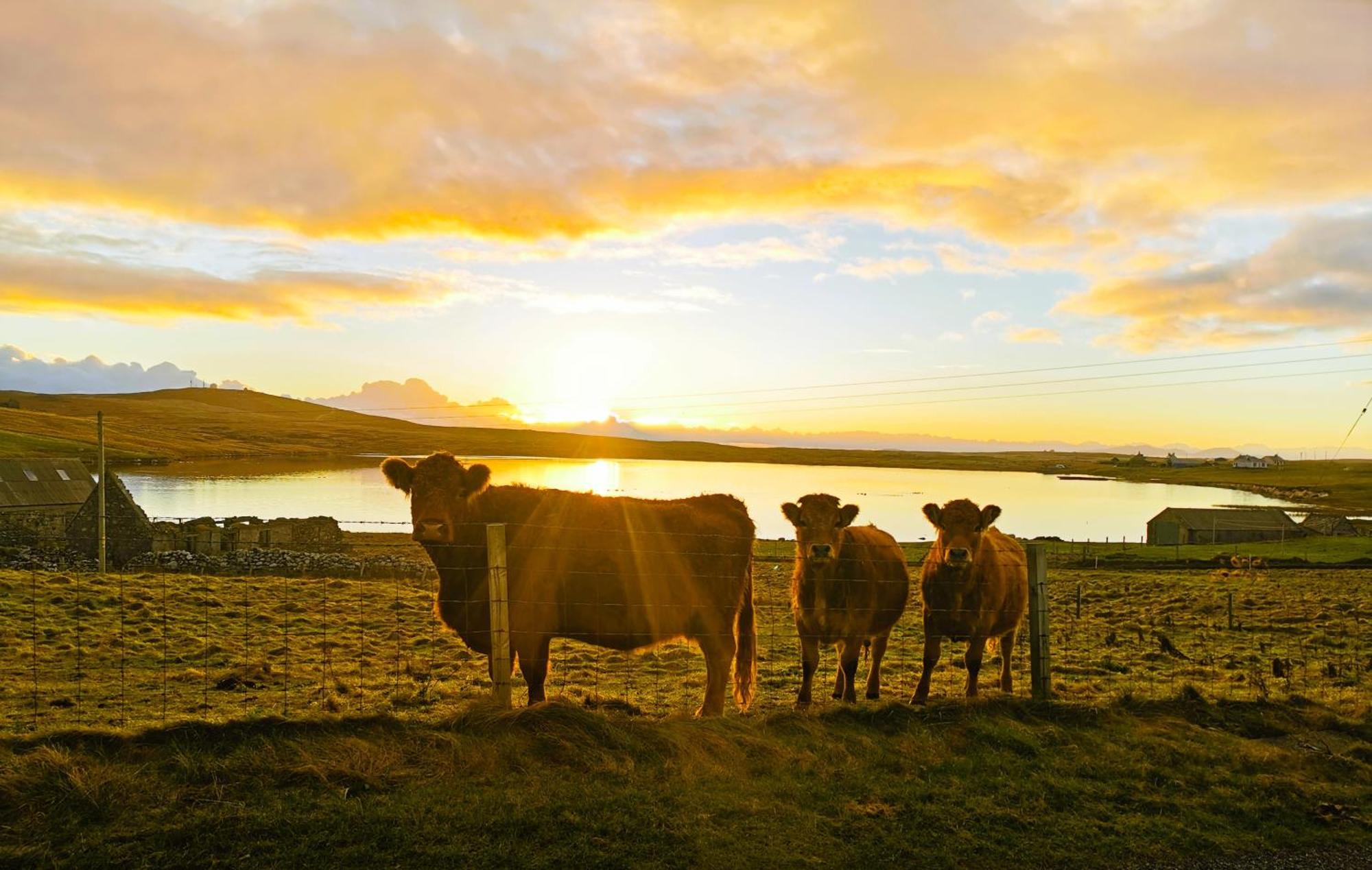 North Uist Lodges Tigharry 외부 사진