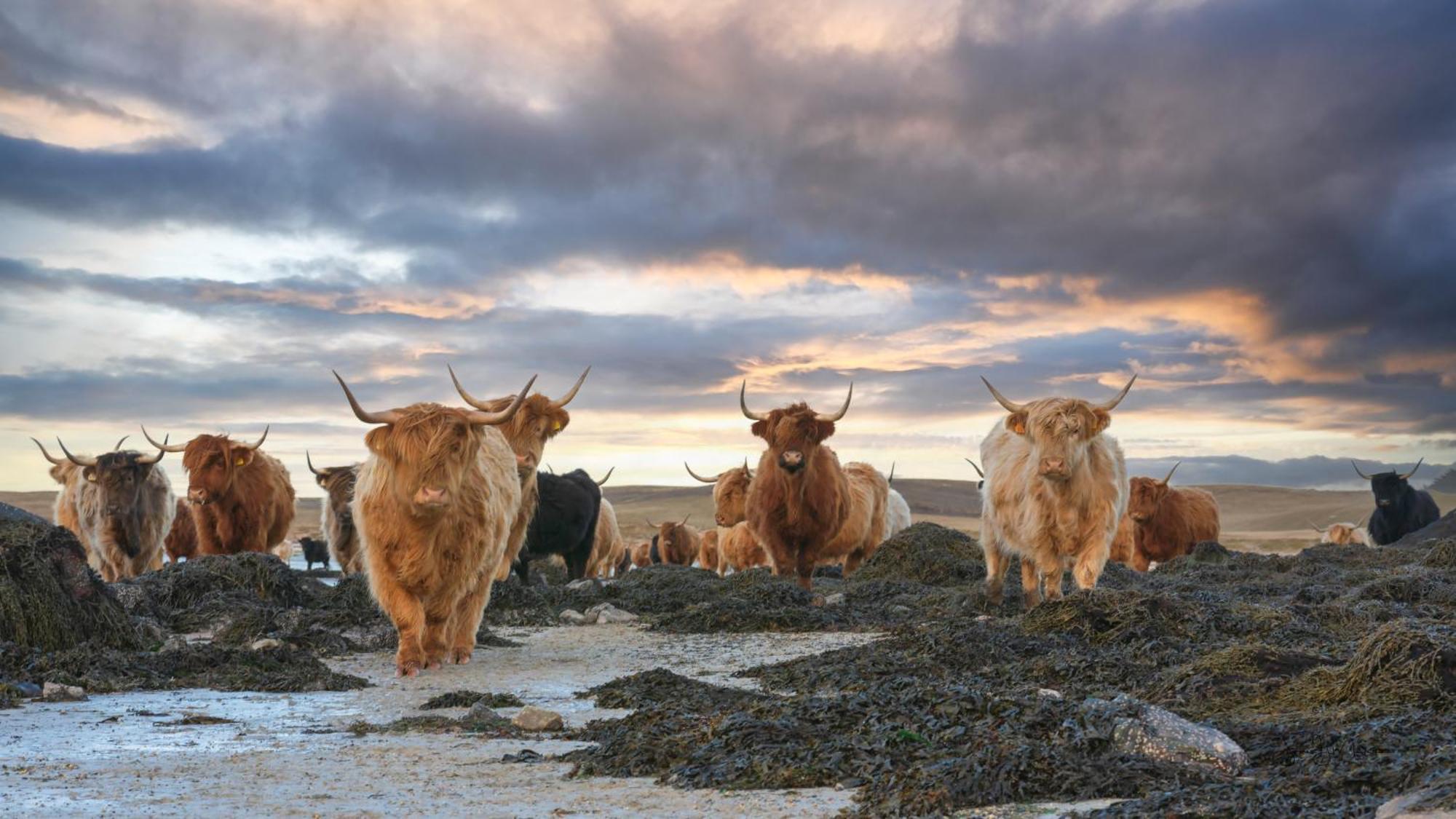 North Uist Lodges Tigharry 외부 사진