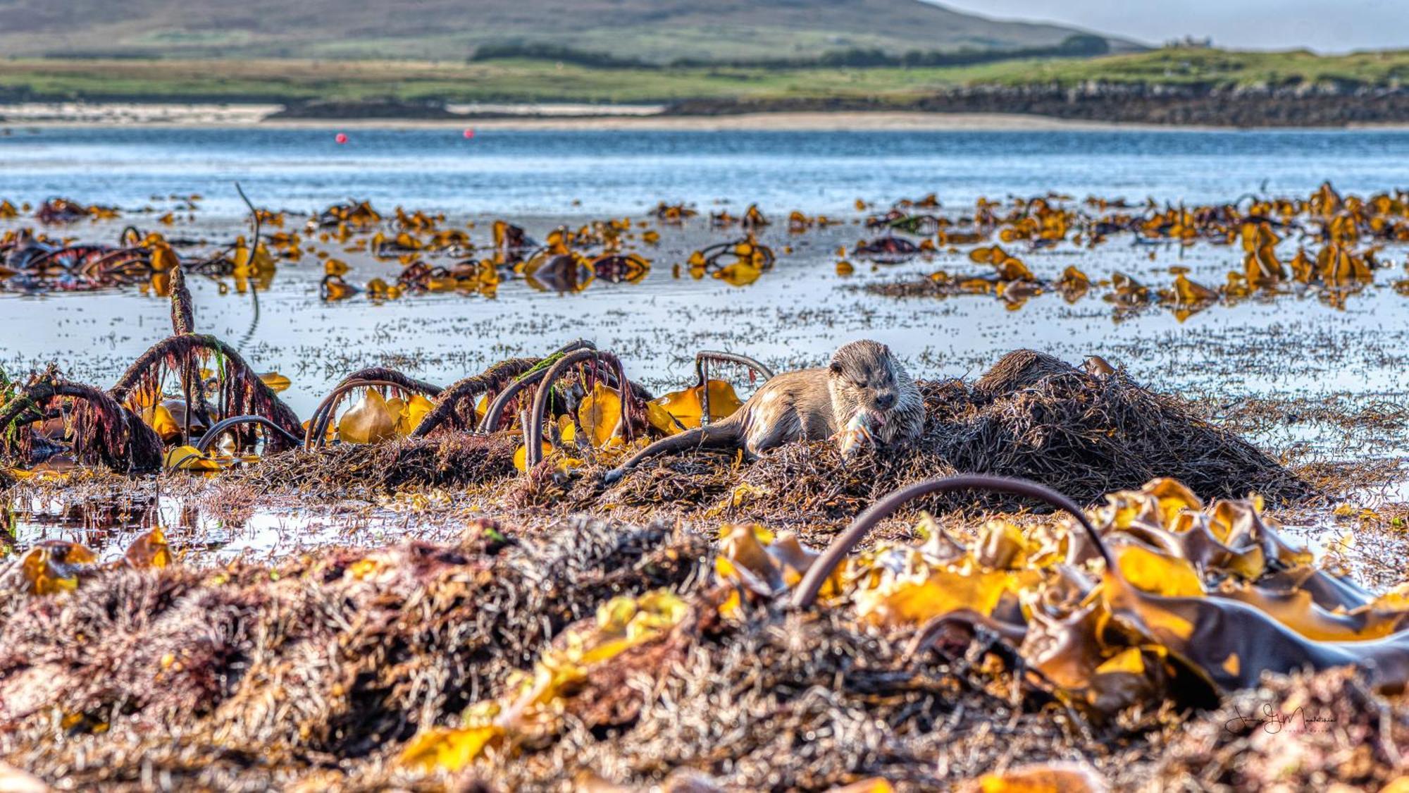 North Uist Lodges Tigharry 외부 사진